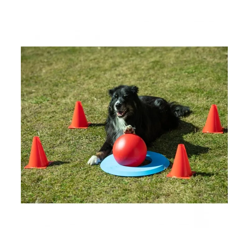 Hundespielzeug & Sport PROCYON Dog Golf Set jetzt online