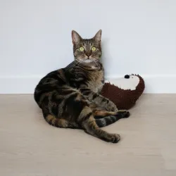 Katzenspielzeug D&D Tretkissen Spike - S - 11 x 11 x 17cm jetzt online