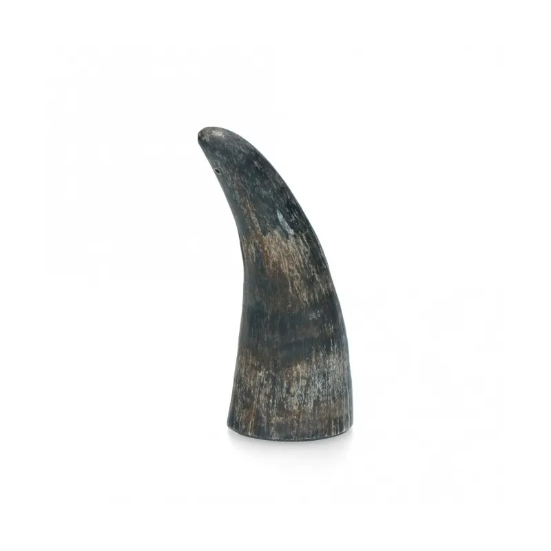 Hundespielzeug & Sport Viking Whole Horn - S jetzt online