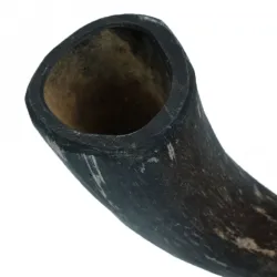 Hundespielzeug & Sport Viking Whole Horn - S jetzt online