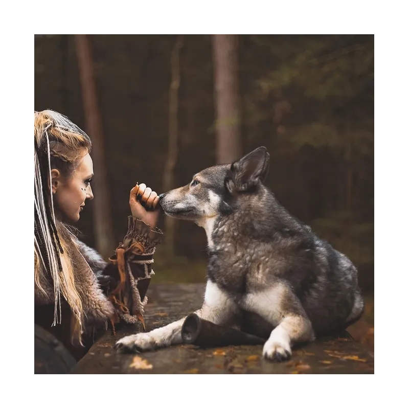 Hundespielzeug & Sport Viking Whole Horn - S jetzt online