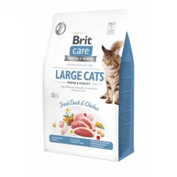 Katzen Trockenfutter Brit Care Cat Grain-Free - Large cats - Power...