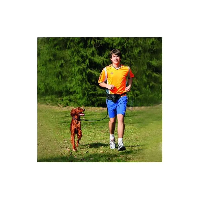 Leinen Karlie Doggy-Joggy Joggingleine jetzt online