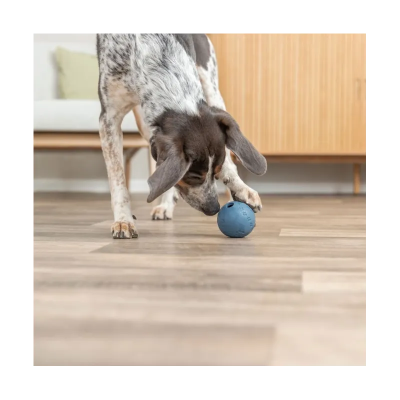 Hundespielzeug & Sport Trixie Labyrinth-Snacky...