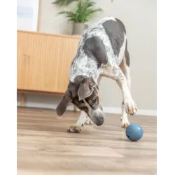 Hundespielzeug & Sport Trixie Labyrinth-Snacky...