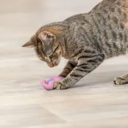 Katzenspielzeug Trixie Katzenspielzeug Seepferdchen jetzt online
