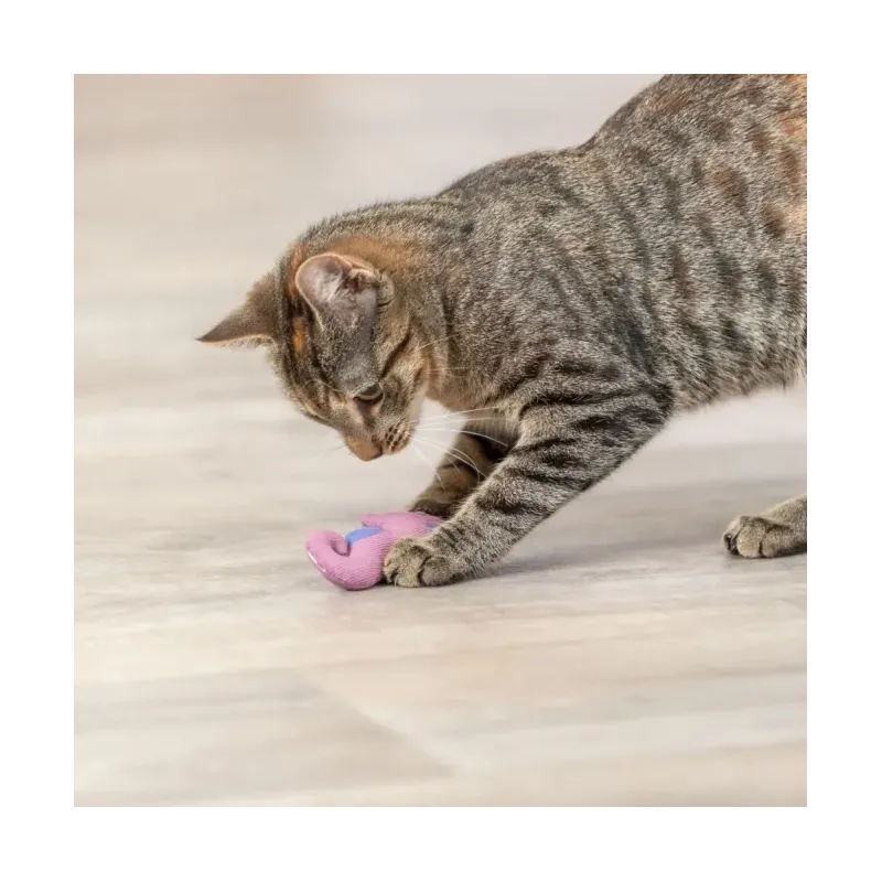 Katzenspielzeug Trixie Katzenspielzeug Seepferdchen jetzt online