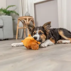 Hundespielzeug & Sport Trixie Eichhörnchen mit Memory-Effekt - 13...