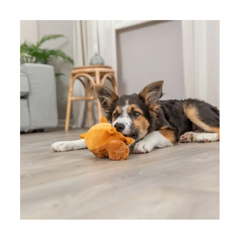 Hundespielzeug & Sport Trixie Eichhörnchen mit Memory-Effekt - 13...