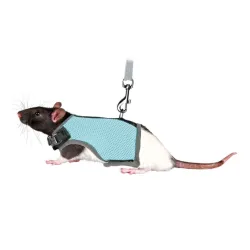 Transport Trixie Softgeschirr für Ratten jetzt online