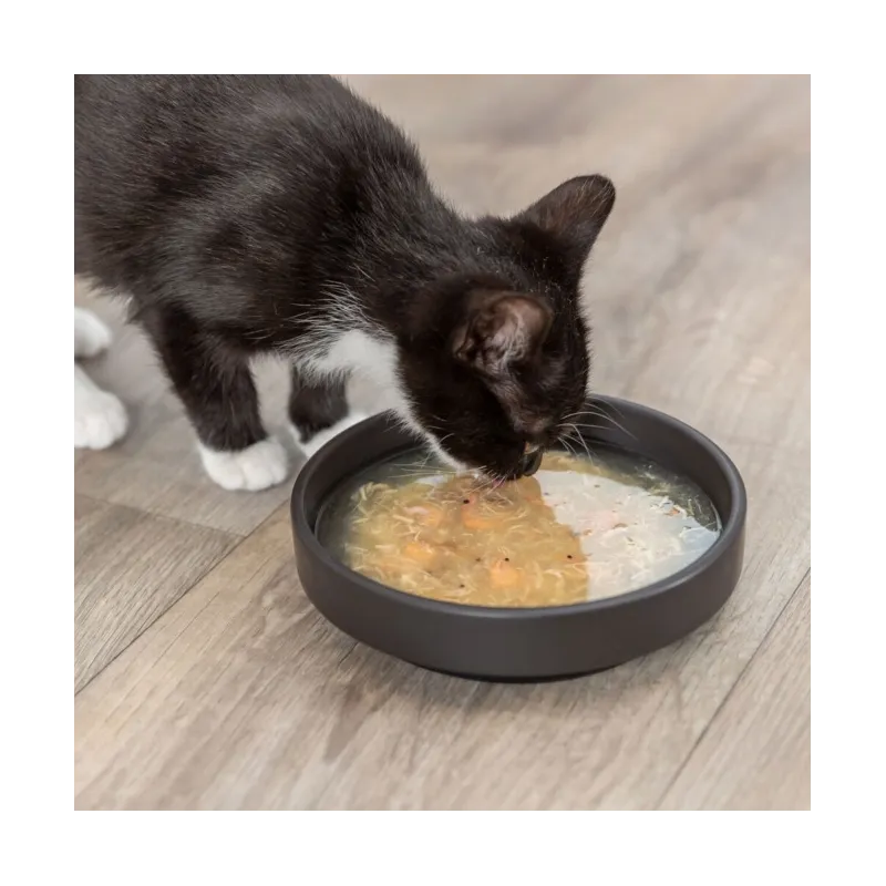 Katzensnacks Trixie Kittis Shrimp Soup - 4 × 80 g jetzt online