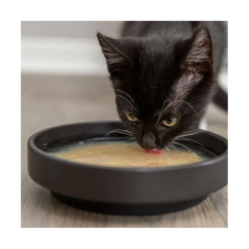 Katzensnacks Trixie Kittis Shrimp Soup - 4 × 80 g jetzt online