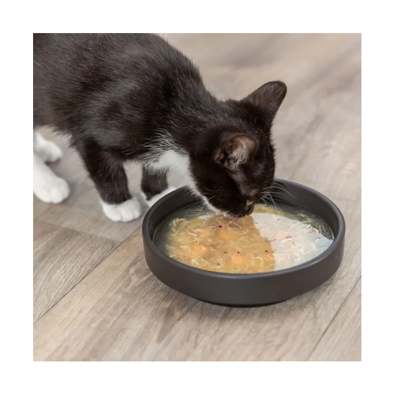 Katzensnacks Trixie Kittis Salmon Soup - 4 × 80 g jetzt online