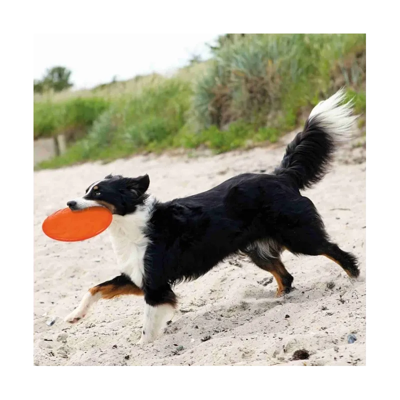 Hundespielzeug & Sport Trixie TPR Dog Disc, schwimmfähig - 18 cm...