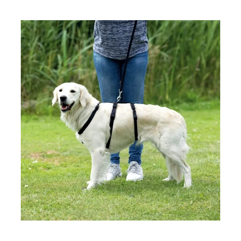 Halsbänder & Leinen Trixie Panikgeschirr Stay - M-L, 50-75 cm/20...