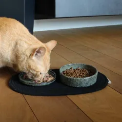 Hundenäpfe & Tränken D&D Napfunterlage Phil - Schwarz - 35 x 20 cm...