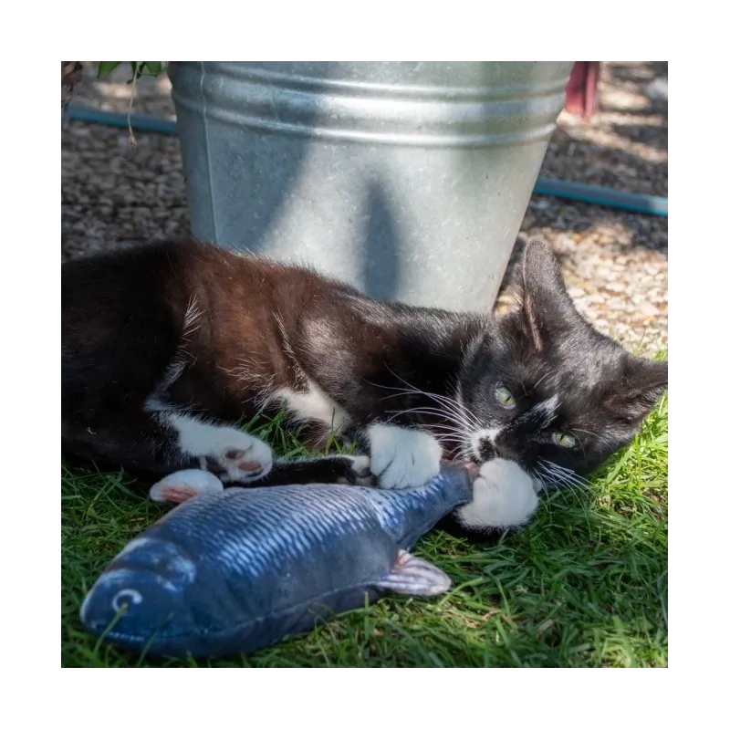 Katzenspielzeug Robocat Forelle - 30 cm jetzt online