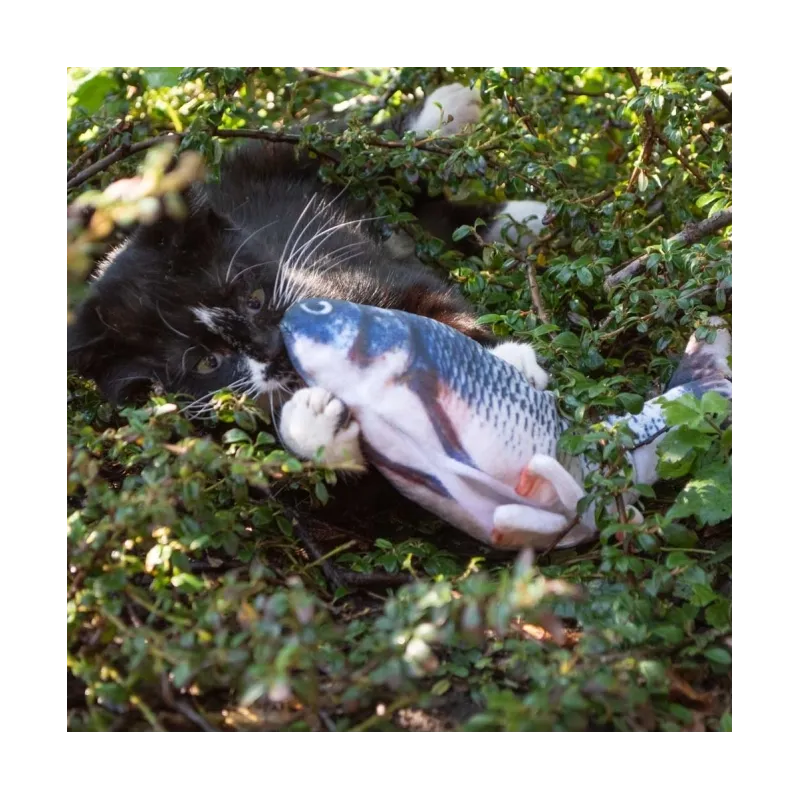 Katzenspielzeug Robocat Forelle - 30 cm jetzt online