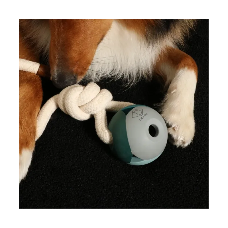 Hundespielzeug & Sport D&D Hundespielzeug Nora - lagoon jetzt online