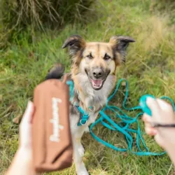 Unterwegs Trixie Preydummy - Canvas, Braun - 5 x 12 cm jetzt online