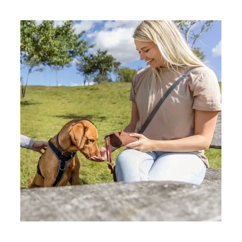 Unterwegs Trixie Preydummy - Canvas, Braun - 5 x 12 cm jetzt online