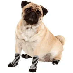 Pflege & Gesundheit Karlie Doggy Socks Hundesocken 4er Set -...