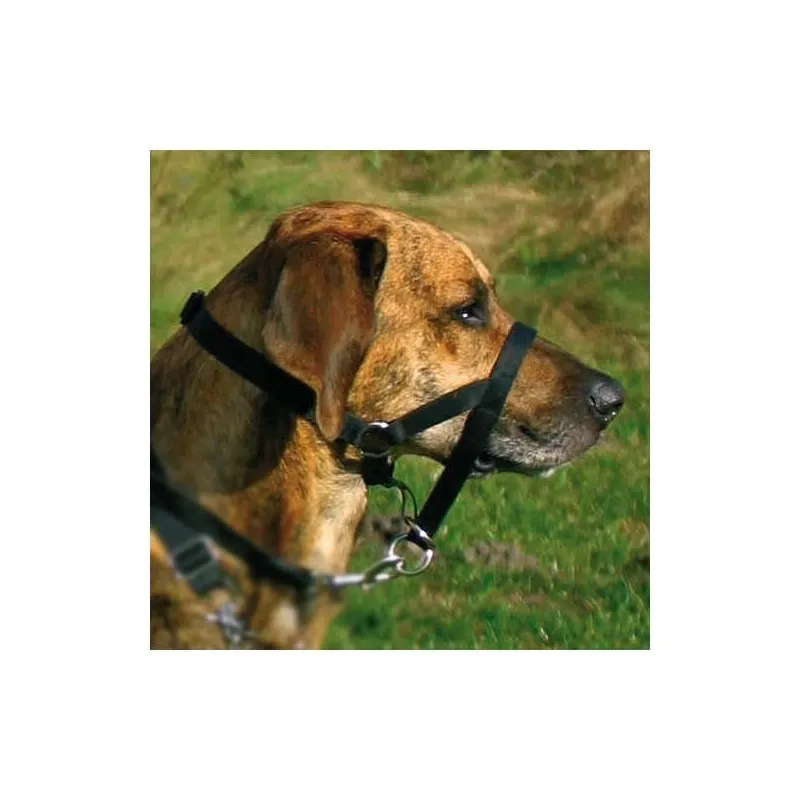 Halsbänder & Leinen Trixie Top Trainer Ausbildungsgeschirr - max....