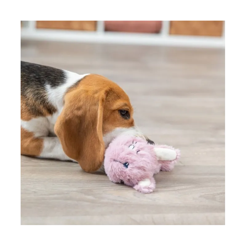 Hundespielzeug & Sport Trixie Junior Hase mit Beißring jetzt online