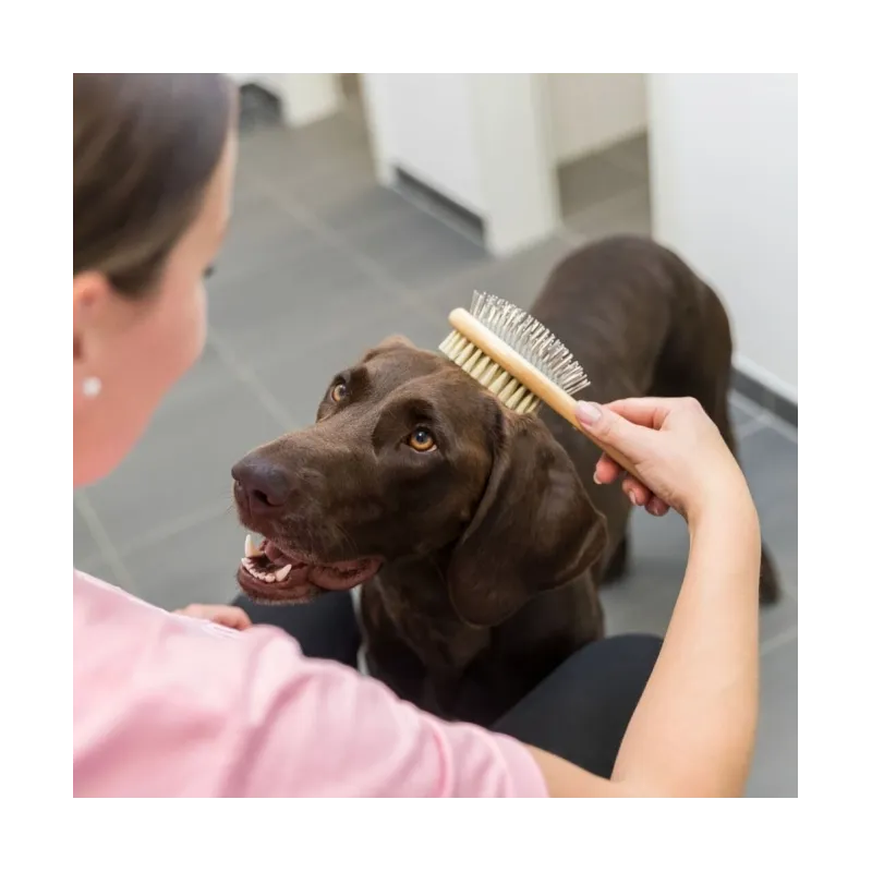 Fellpflege Trixie beidseitige Bürste aus Bambus - 5 x 19 cm jetzt...