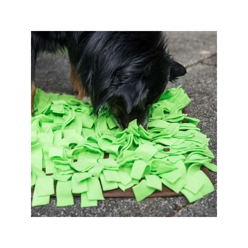 Katzenspielzeug PROCYON Schnüffelwiese - Grün jetzt online