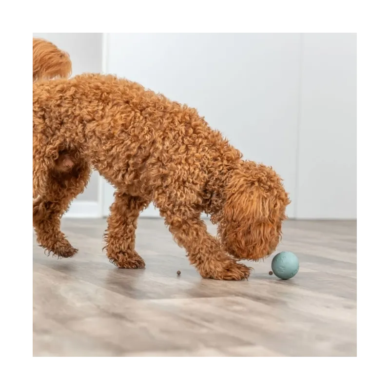 Hundespielzeug & Sport Trixie Labyrinth-Snacky...