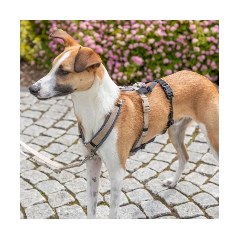 Halsbänder & Leinen Trixie Panik-Adapter Stay für Geschirre -...