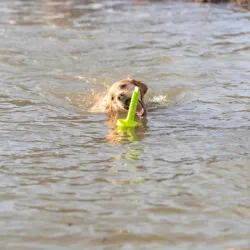 Hundespielzeug & Sport Trixie Aqua Toy MOT®-Aqua jetzt online