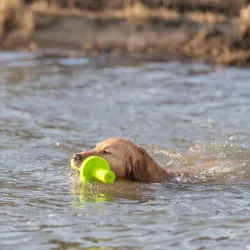 Hundespielzeug & Sport Trixie Aqua Toy MOT®-Aqua jetzt online