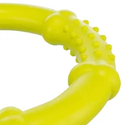 Hundespielzeug & Sport Trixie Naturgummi-Ring, schwimmend jetzt online