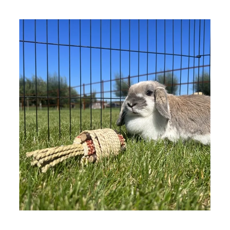 Ausstattung & Zubehör Duvoplus Bündel Wasserhyazinthe & Maiskolben...
