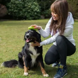 Fellpflege PROCYON Silikonbürste jetzt online