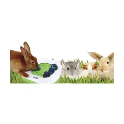 Ausstattung & Zubehör Hagen LivingWorld Teach'N Treat -...