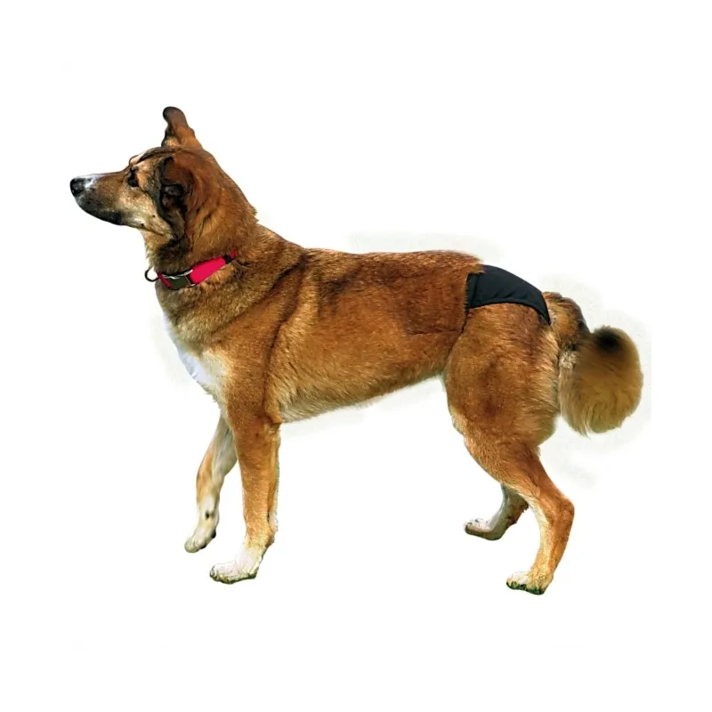 Pflege & Gesundheit Trixie Schutzhöschen - Schwarz - L jetzt online