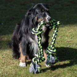 Hundespielzeug & Sport PROCYON XXL-Kauseil - 3 Knoten / 75 cm...