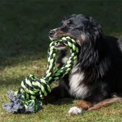 Hundespielzeug & Sport PROCYON XXL-Kauseil - 3 Knoten / 75 cm...