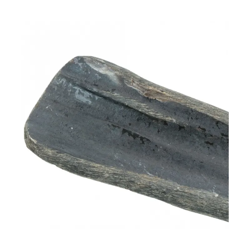 Hundespielzeug & Sport Viking half Horn - S jetzt online