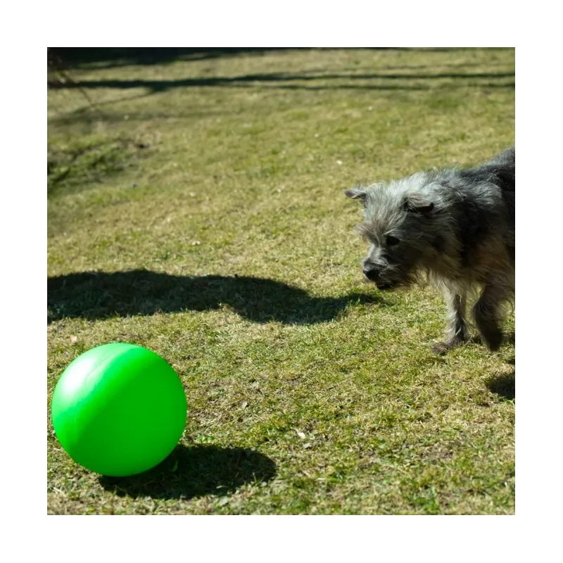 Hundespielzeug & Sport PROCYON Treibball Größe S - extra stabil -...