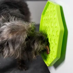 Katzenspielzeug PROCYON Ladi Mat Schleckplatte Wobbler jetzt online