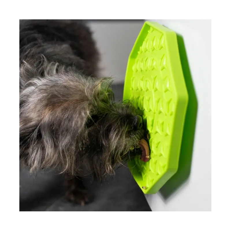 Katzenspielzeug PROCYON Ladi Mat Schleckplatte Wobbler jetzt online