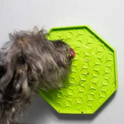 Katzenspielzeug PROCYON Ladi Mat Schleckplatte Wobbler jetzt online