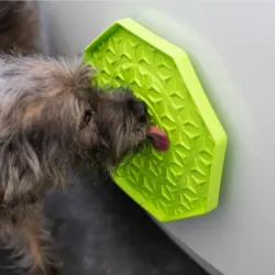 Katzenspielzeug PROCYON Ladi Mat Schleckplatte Wobbler jetzt online