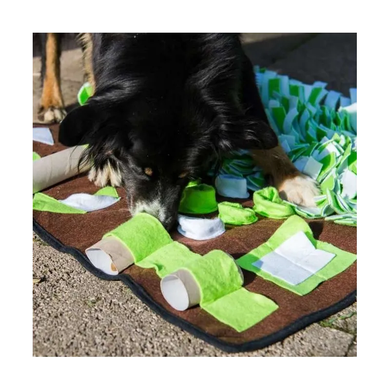 Hundespielzeug & Sport PROCYON Intelligenzschnüffelmatte jetzt online