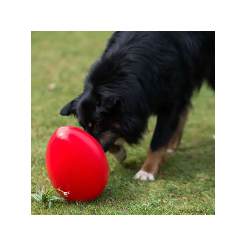 Hundespielzeug & Sport PROCYON Spielei / Treibei - Rot jetzt online