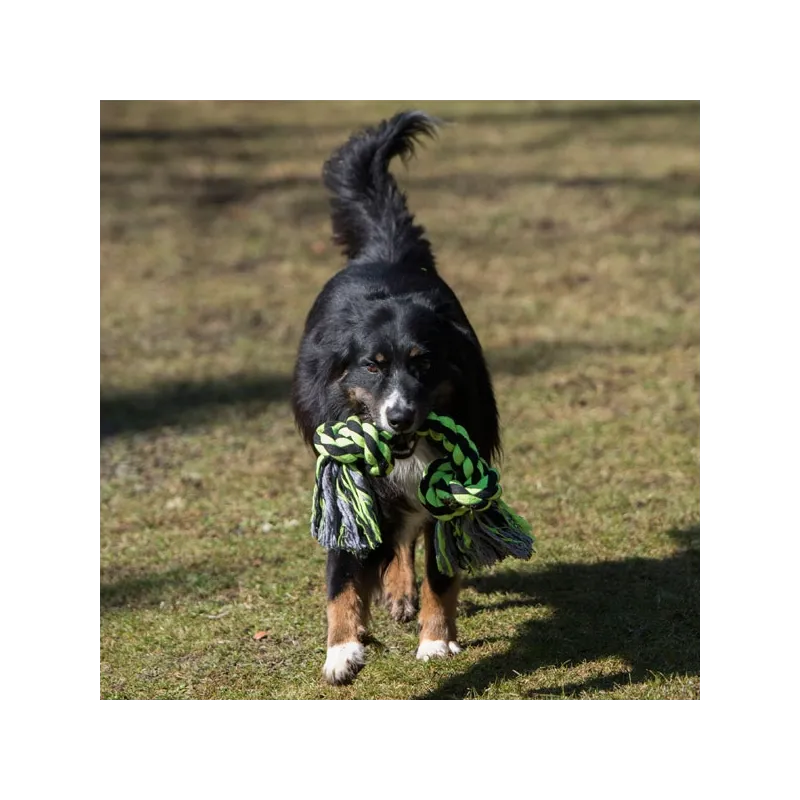 Hundespielzeug & Sport PROCYON XXL-Kauseil - 2 Knoten / 50 cm...